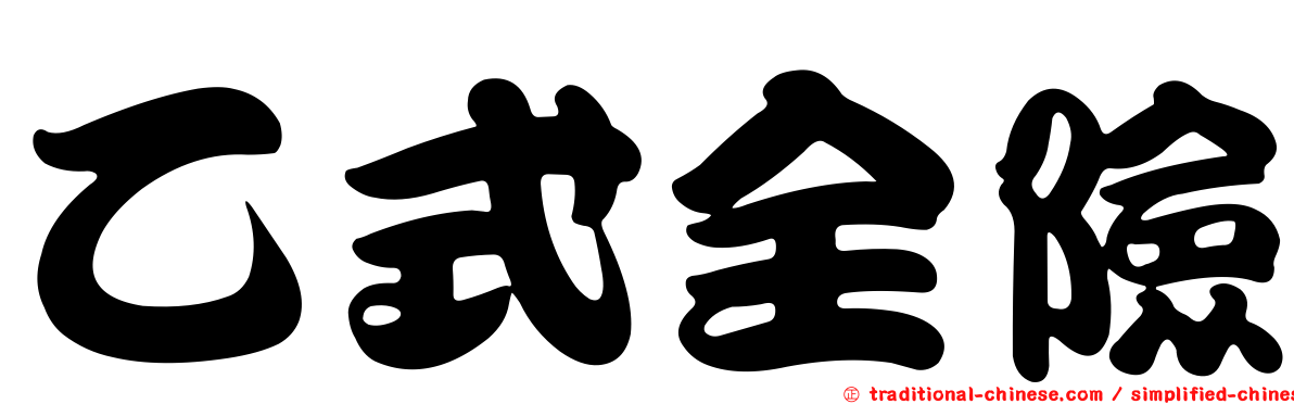 乙式全險