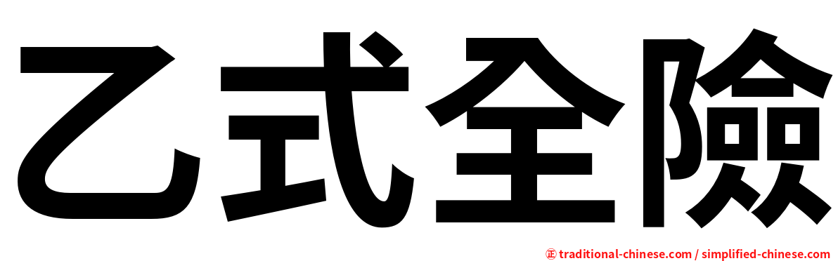 乙式全險