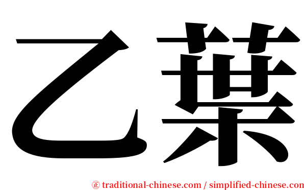 乙葉 serif font