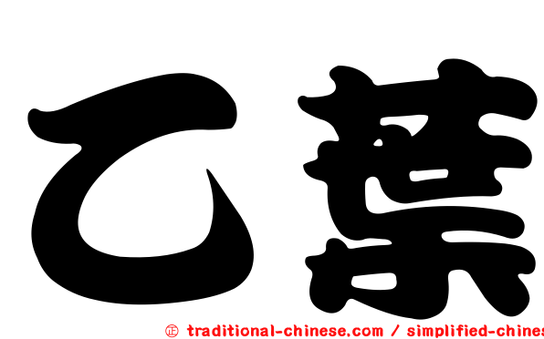 乙葉