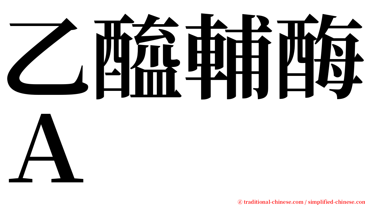 乙醯輔酶Ａ serif font