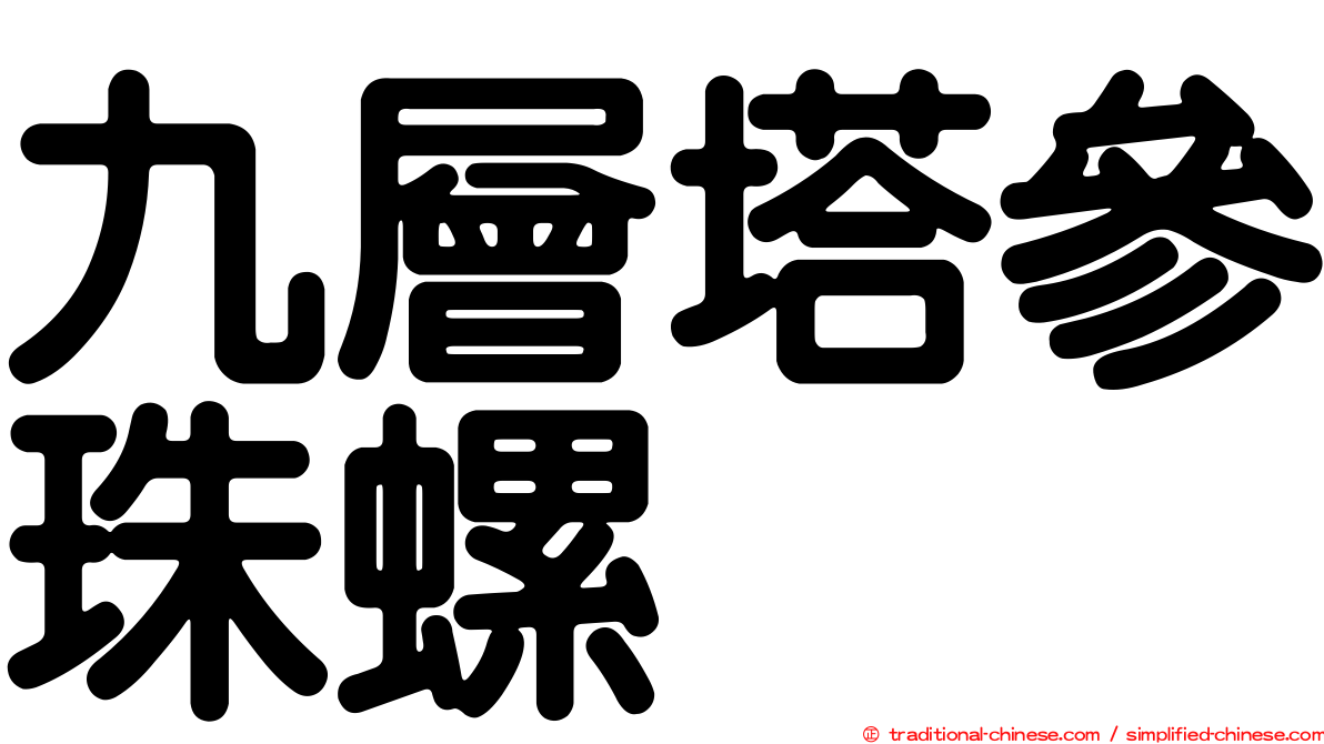 九層塔參珠螺