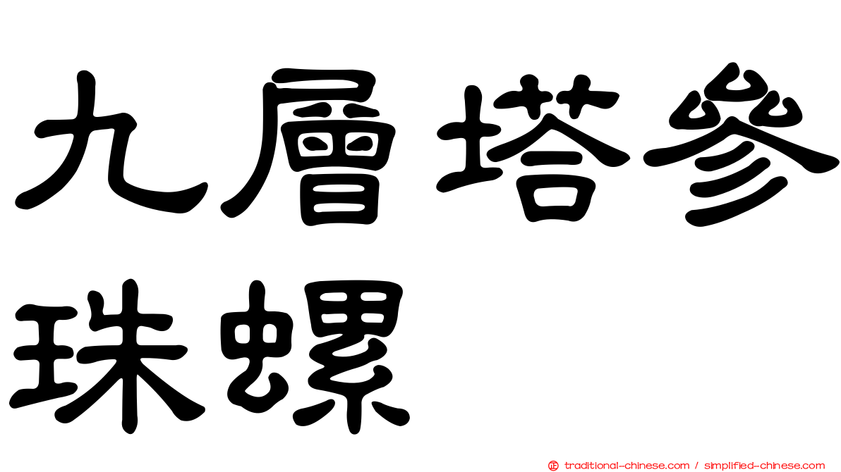 九層塔參珠螺