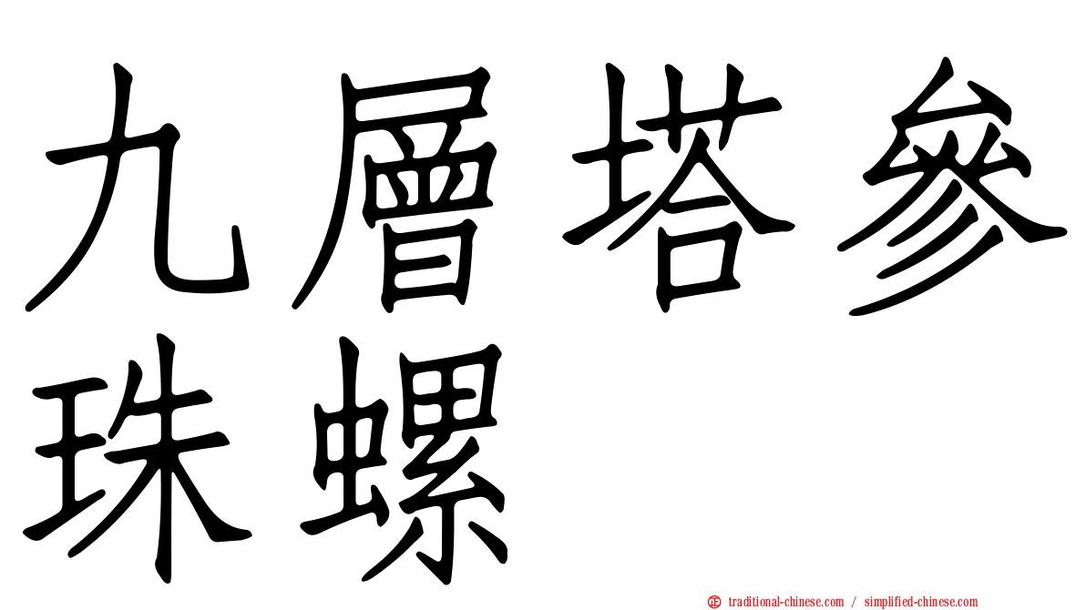 九層塔參珠螺