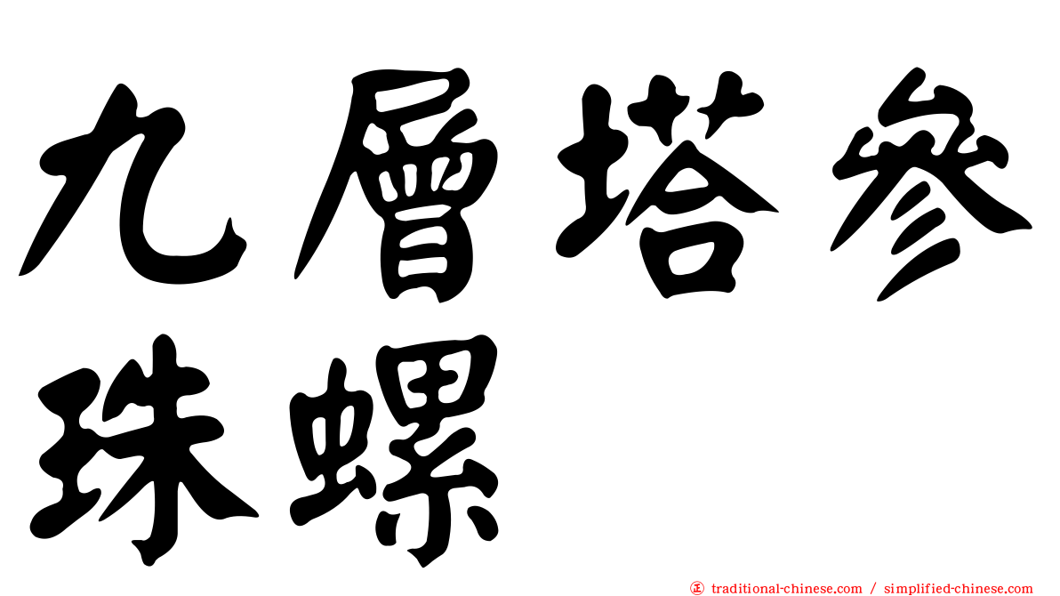 九層塔參珠螺