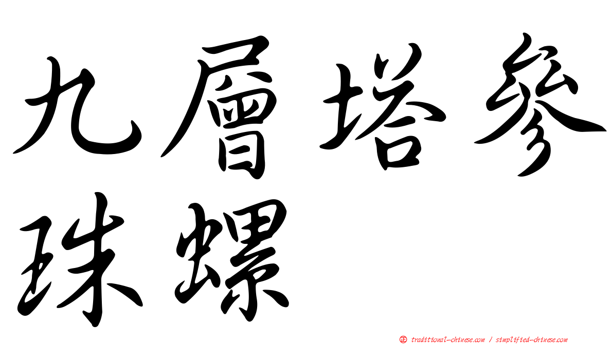 九層塔參珠螺