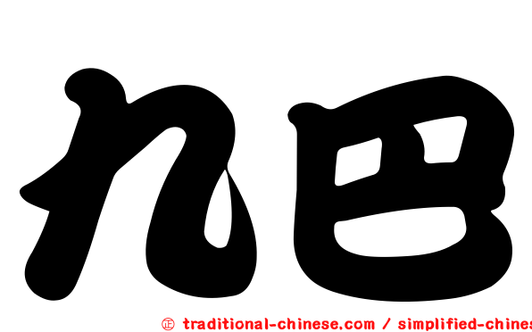 九巴
