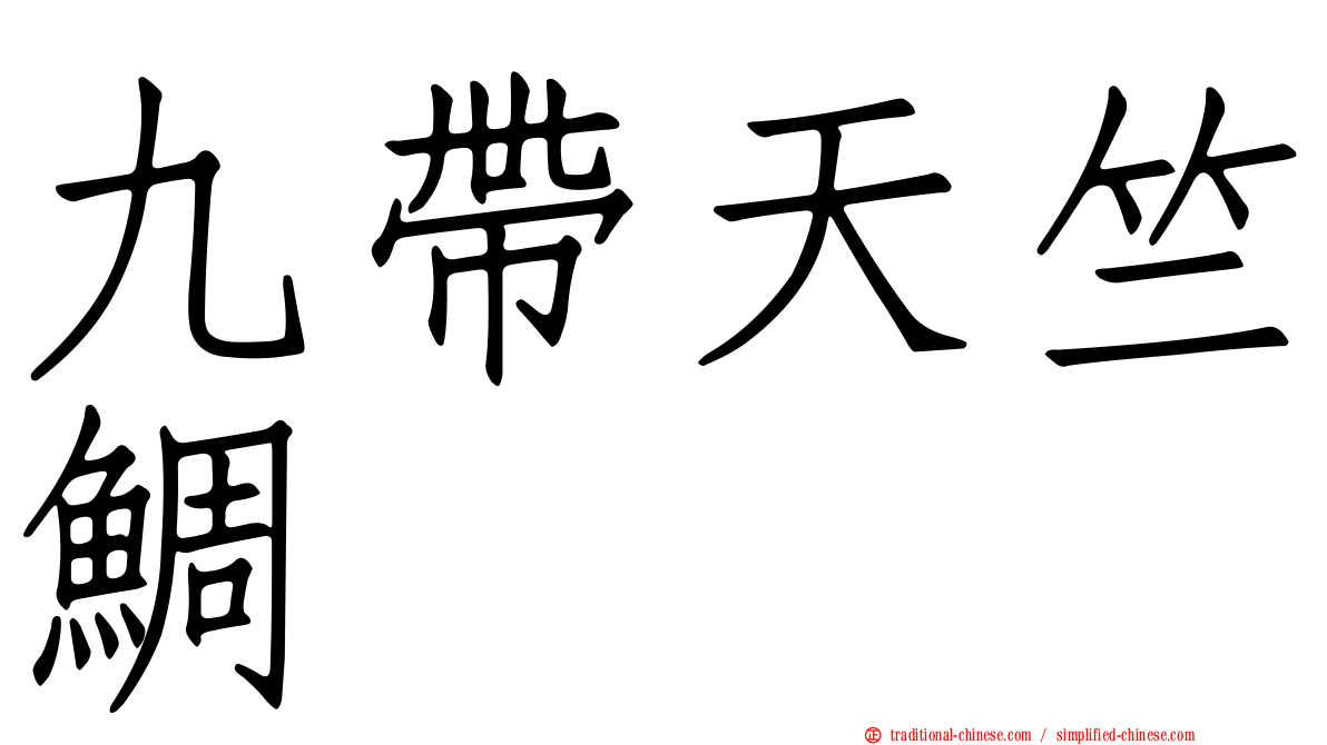 九帶天竺鯛