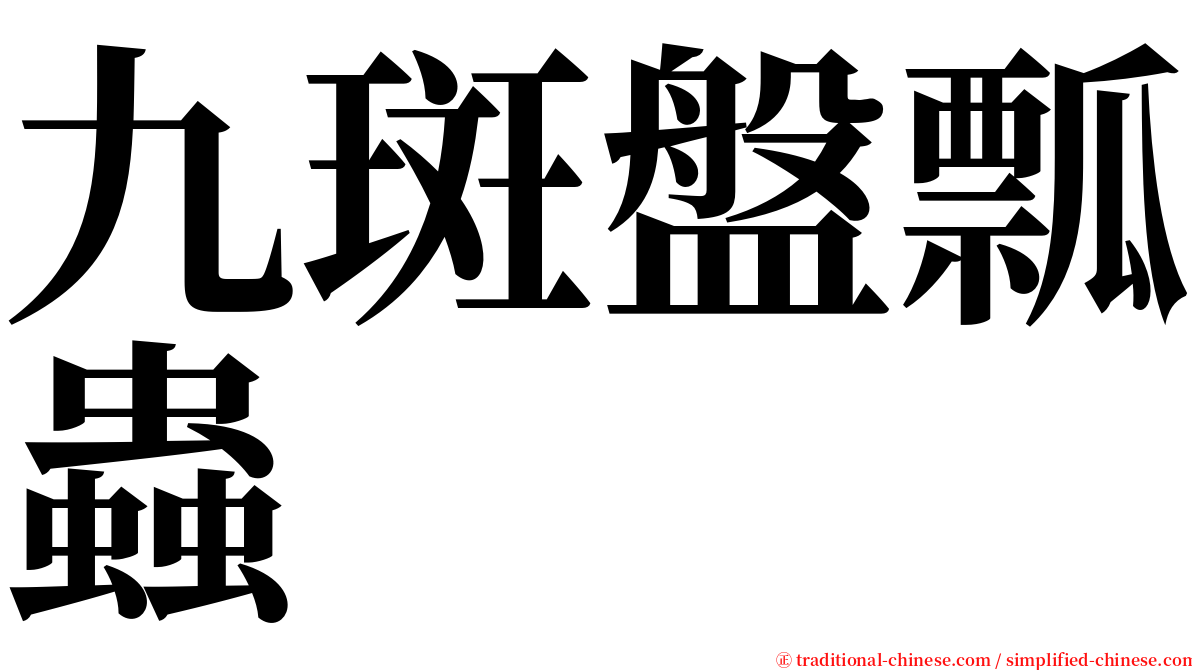 九斑盤瓢蟲 serif font