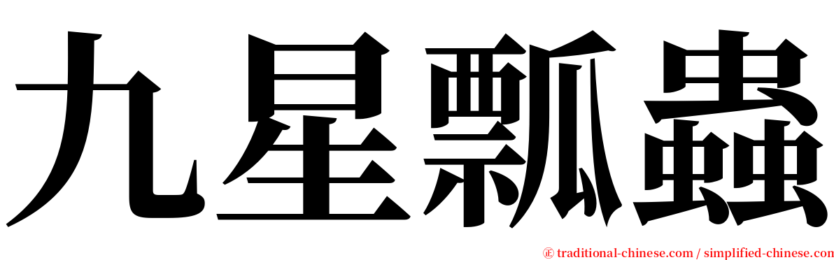 九星瓢蟲 serif font