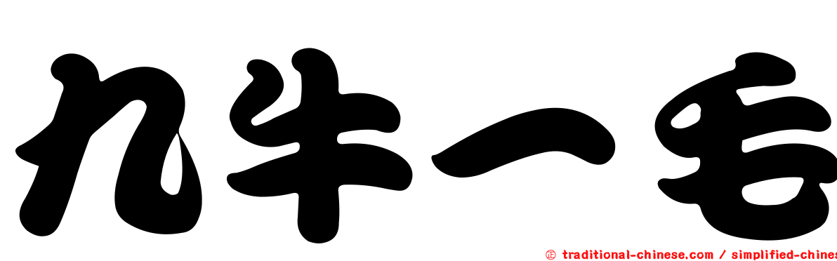 九牛一毛