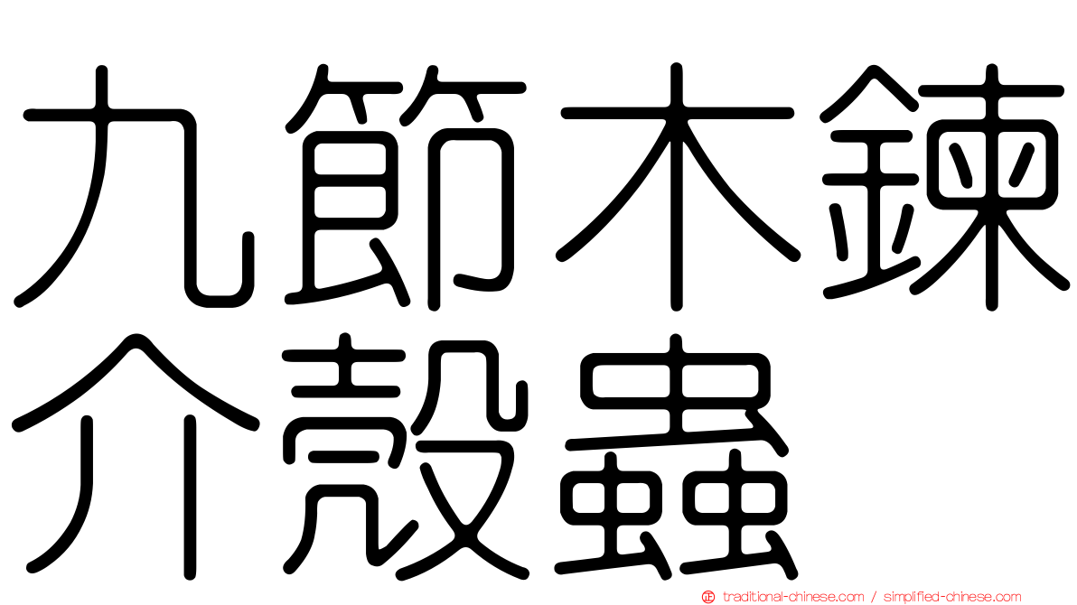 九節木鍊介殼蟲