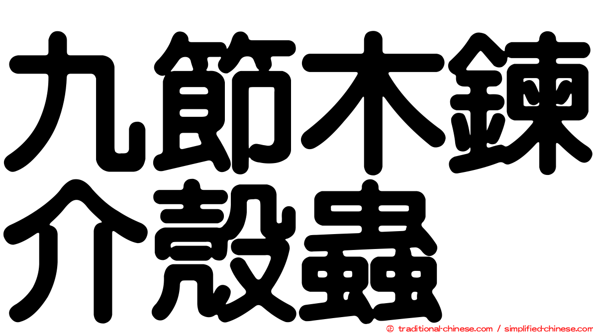 九節木鍊介殼蟲
