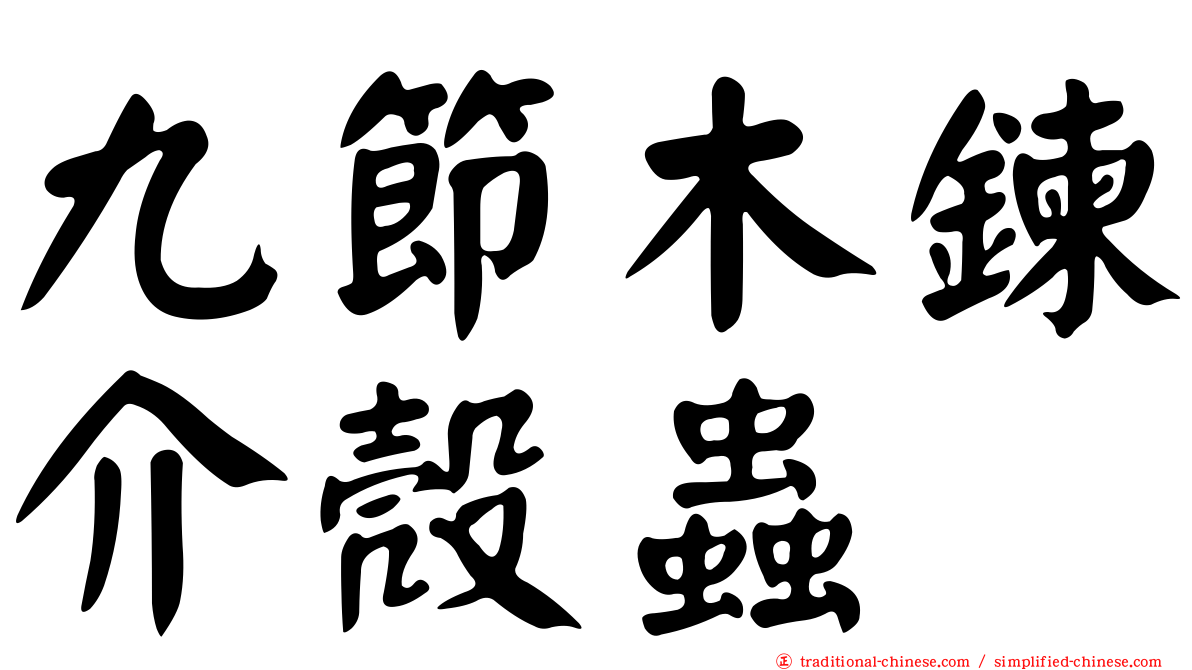九節木鍊介殼蟲