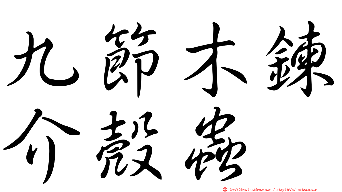 九節木鍊介殼蟲