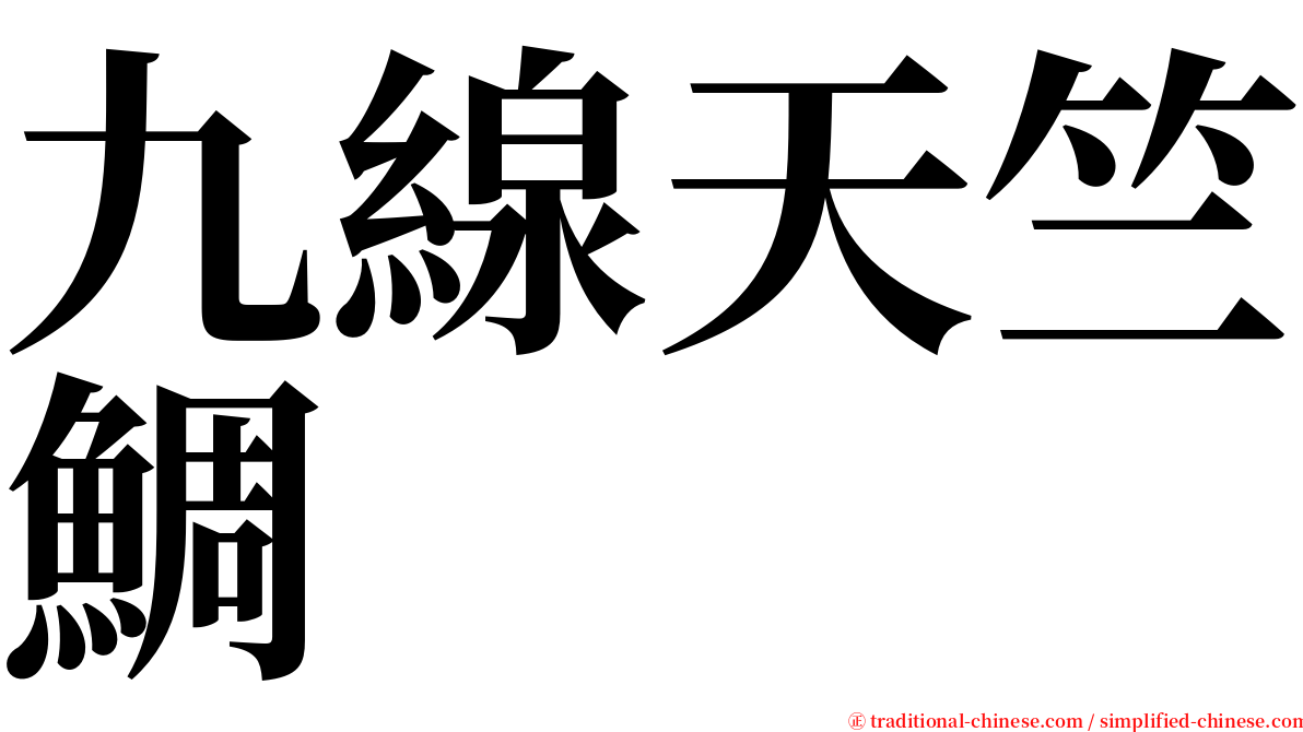 九線天竺鯛 serif font