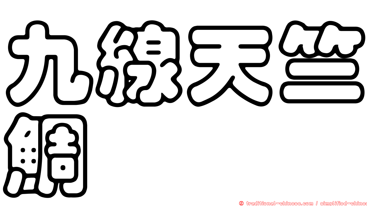 九線天竺鯛