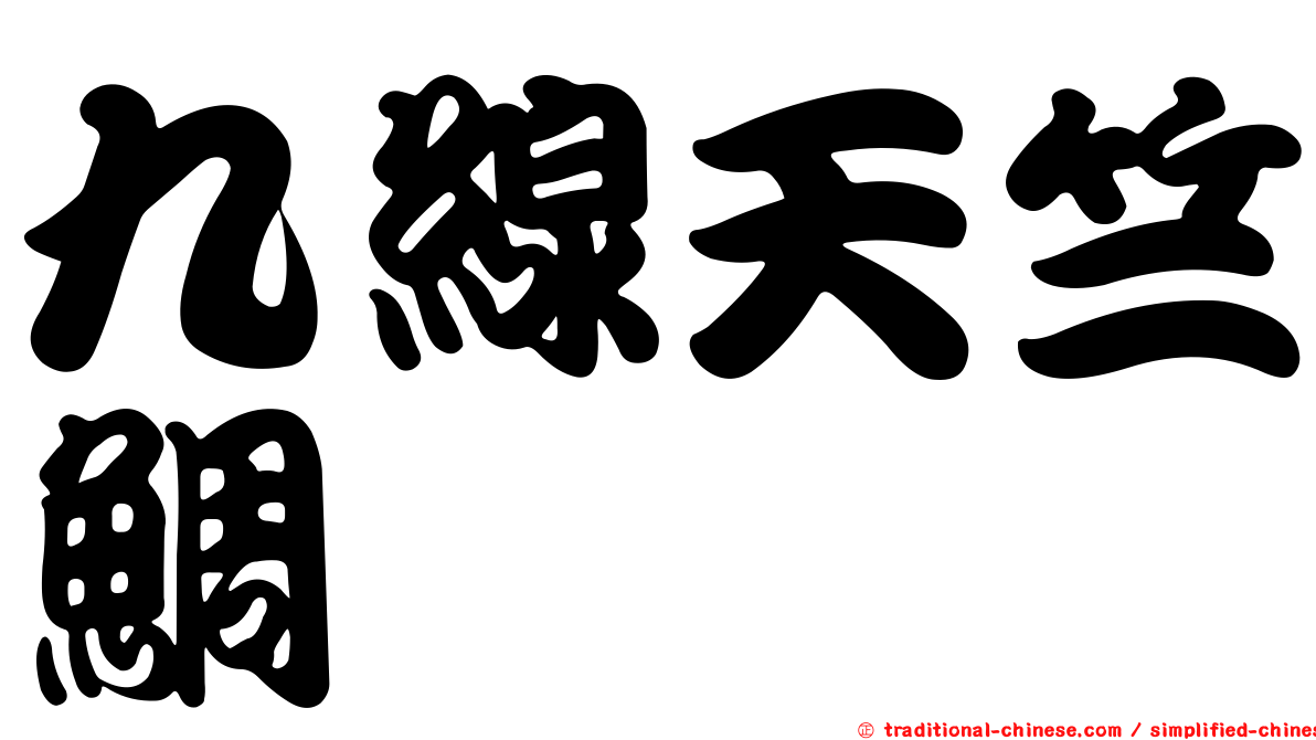 九線天竺鯛