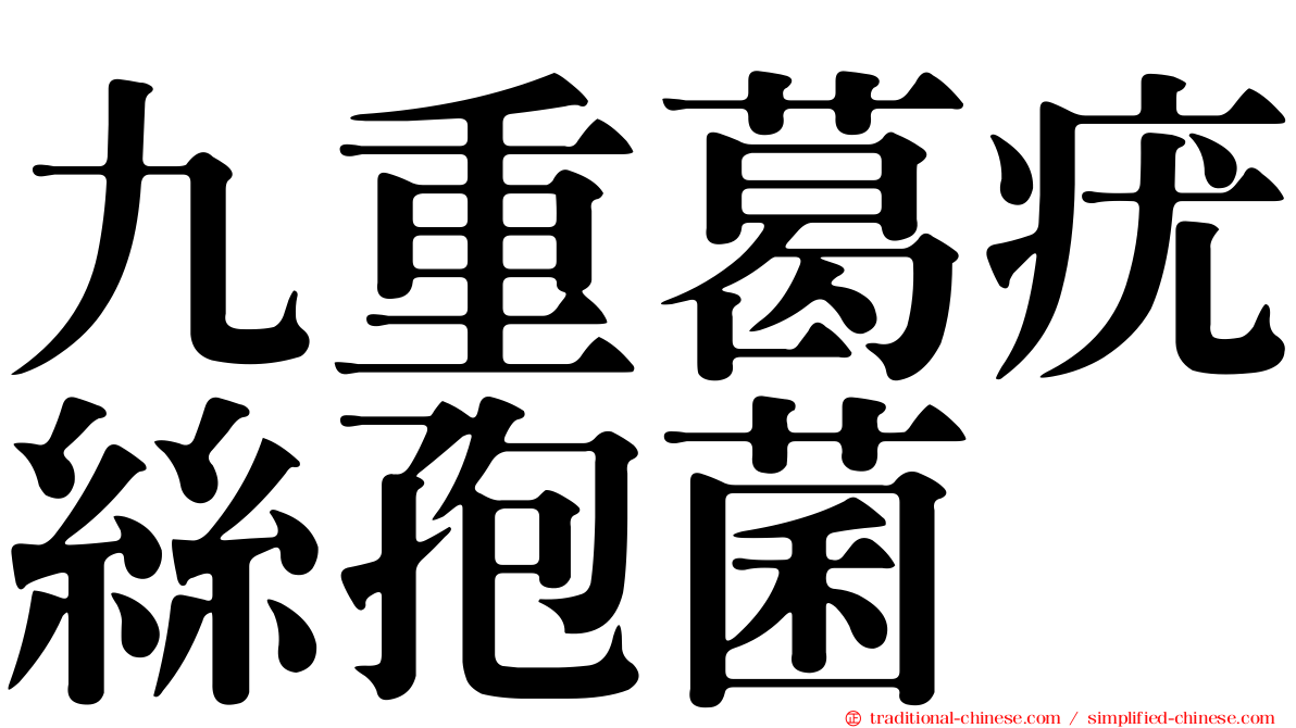 九重葛疣絲孢菌