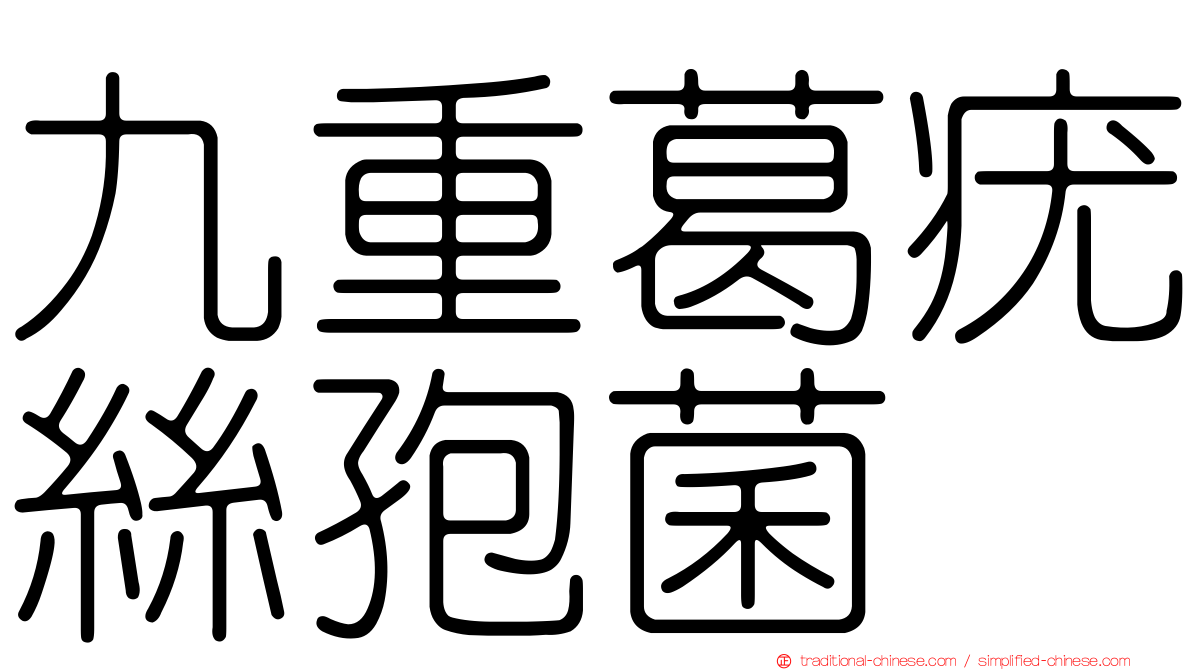 九重葛疣絲孢菌