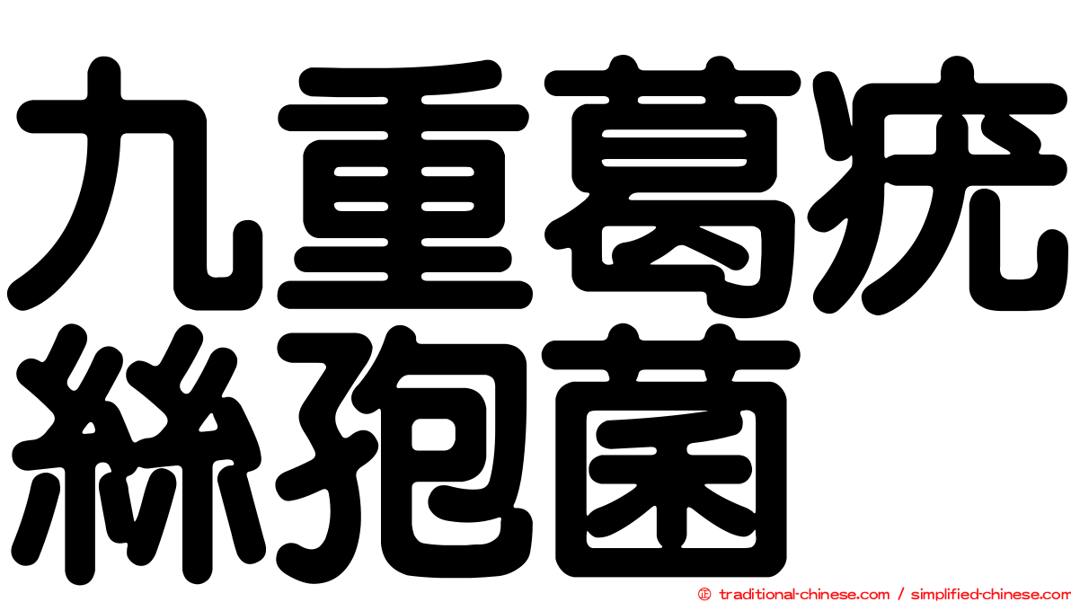 九重葛疣絲孢菌