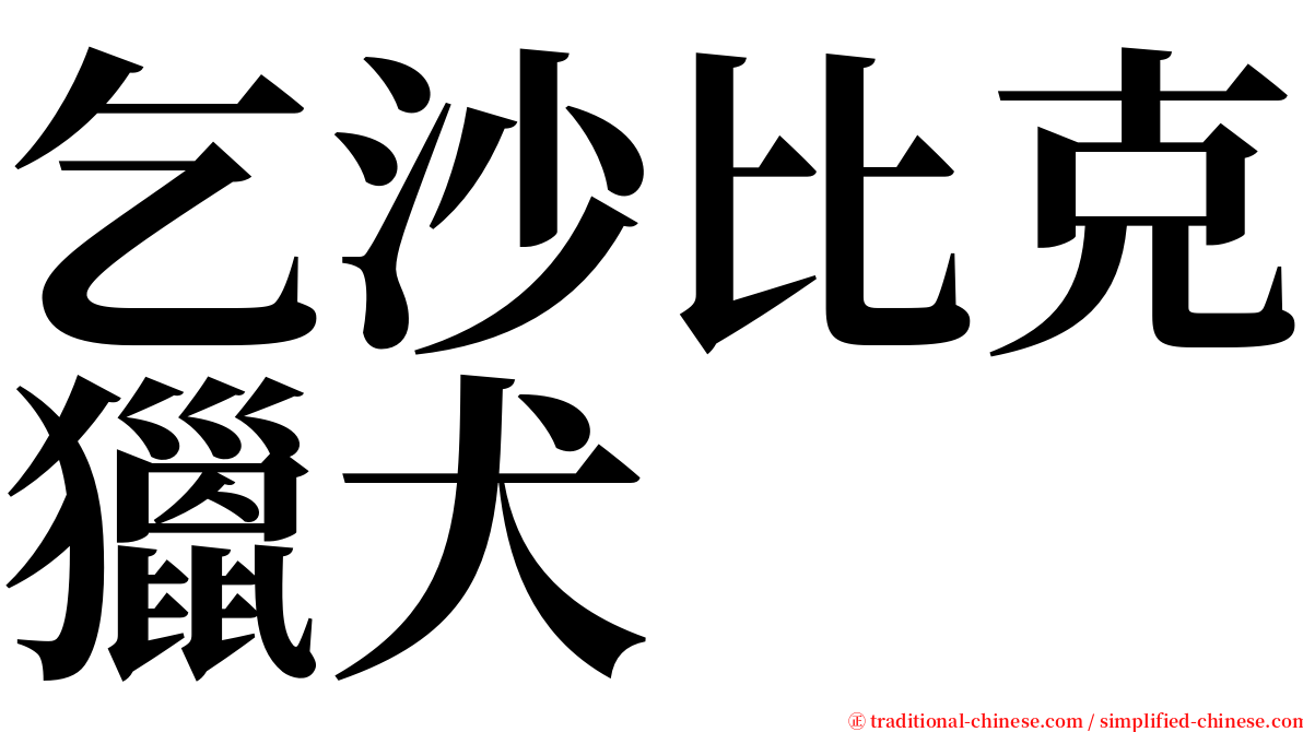 乞沙比克獵犬 serif font