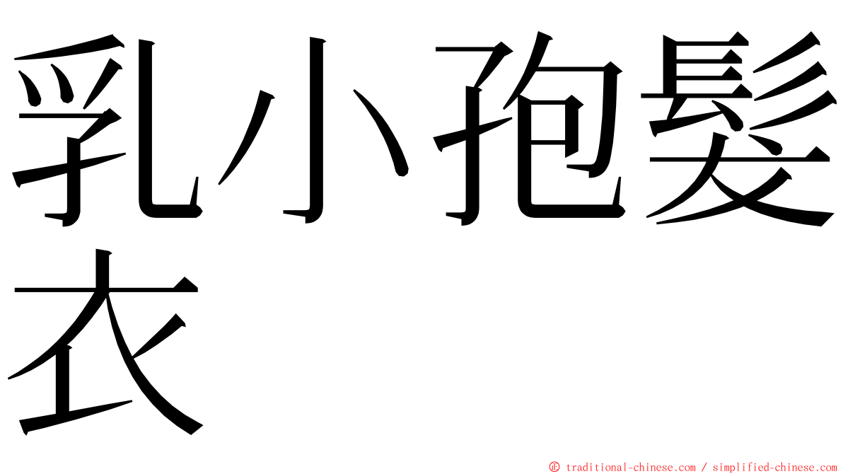 乳小孢髮衣 ming font