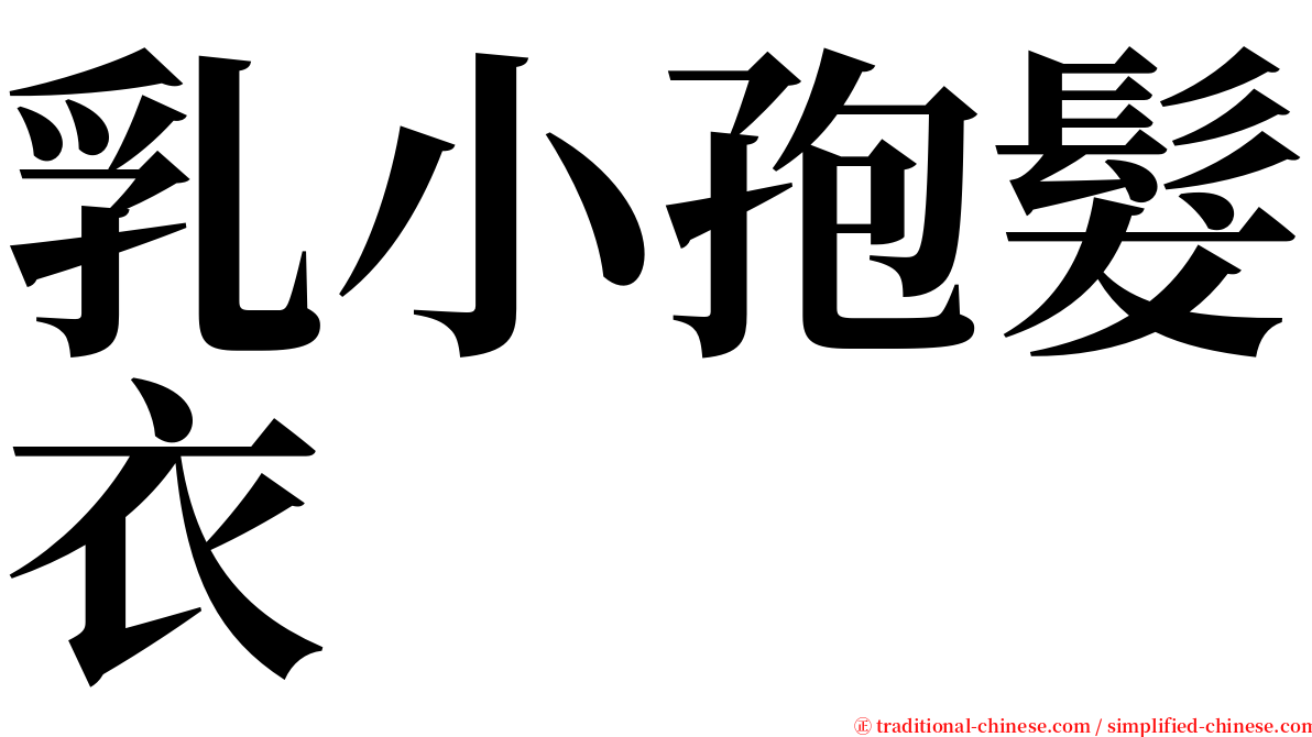 乳小孢髮衣 serif font
