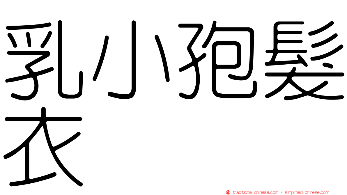 乳小孢髮衣