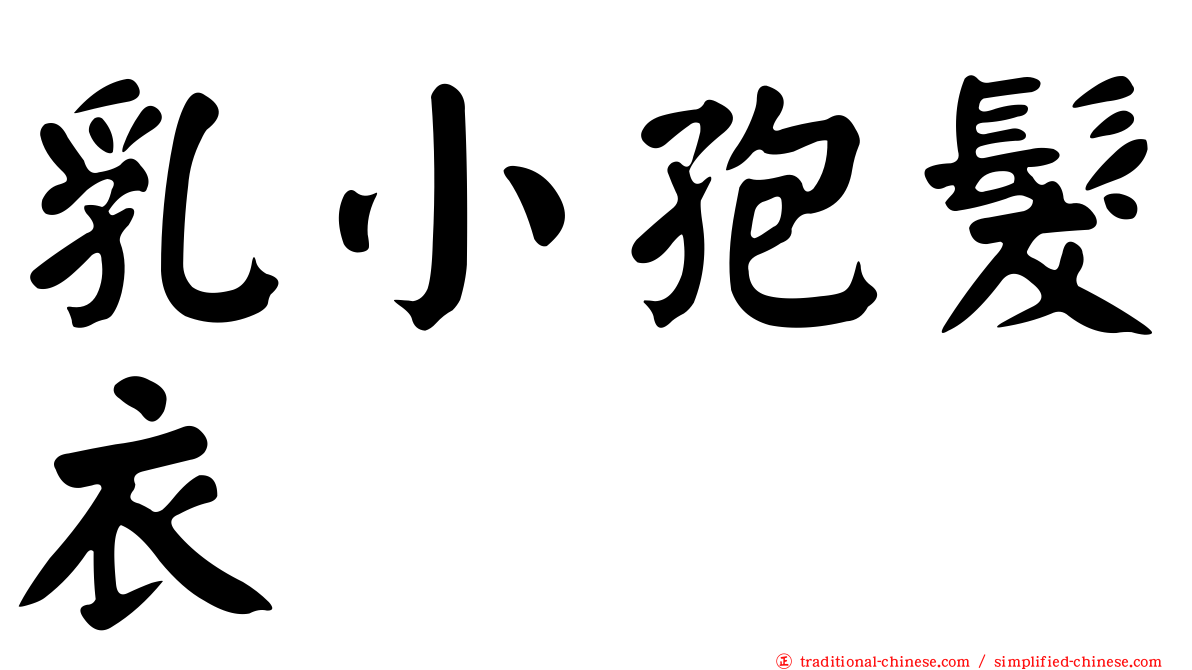 乳小孢髮衣
