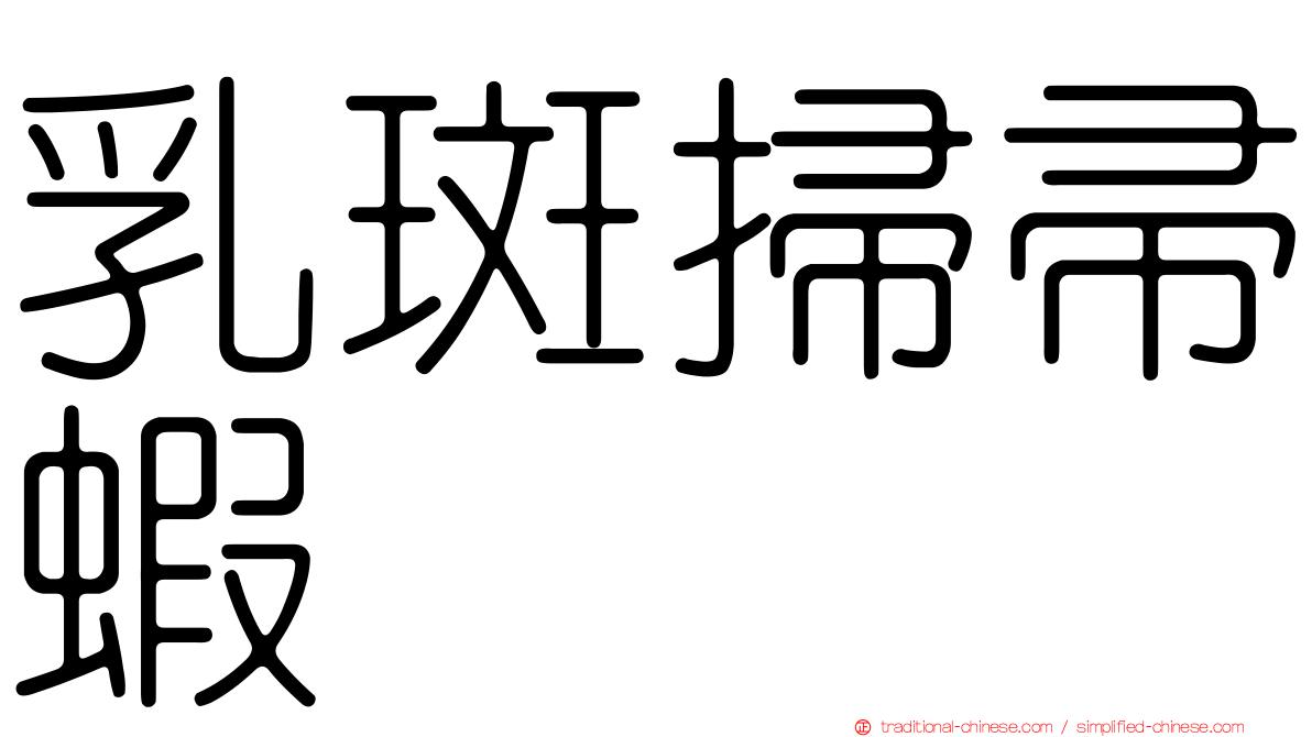 乳斑掃帚蝦