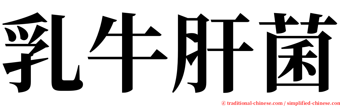 乳牛肝菌 serif font