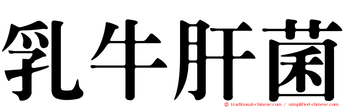 乳牛肝菌