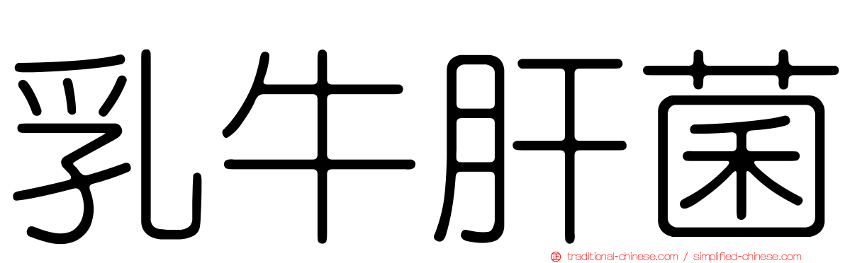 乳牛肝菌
