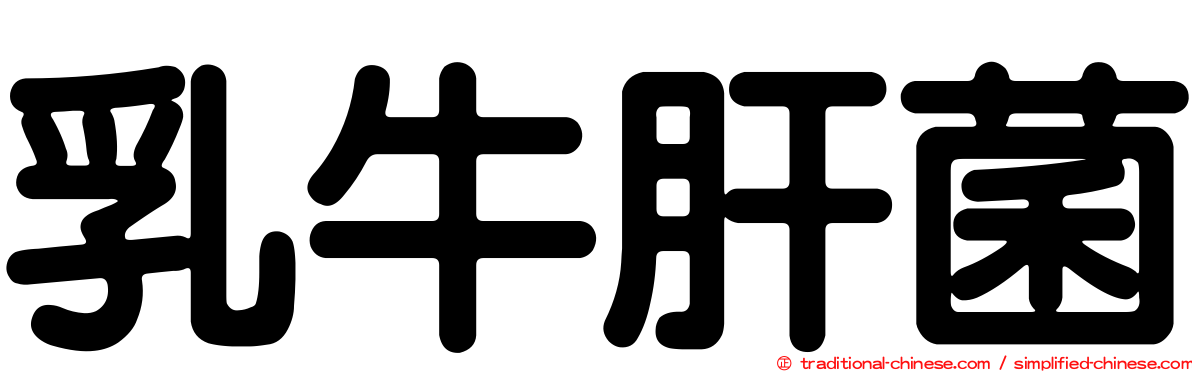 乳牛肝菌