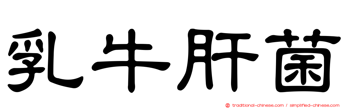 乳牛肝菌