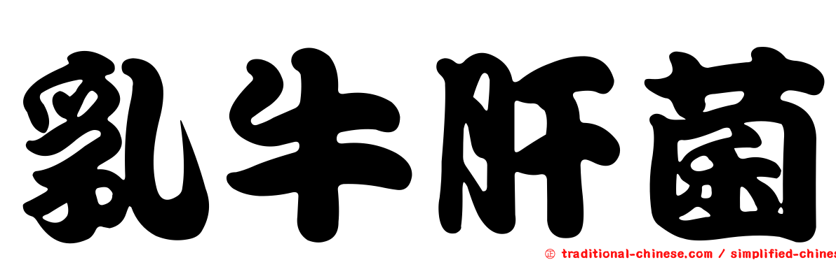 乳牛肝菌