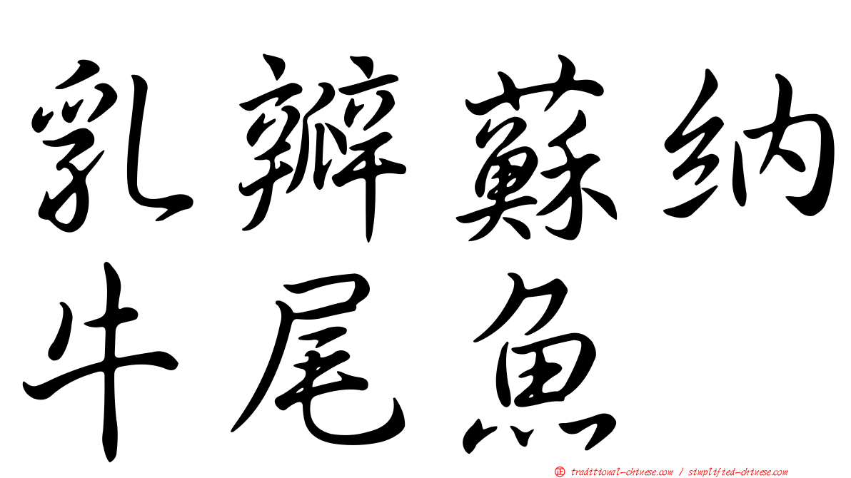 乳瓣蘇納牛尾魚