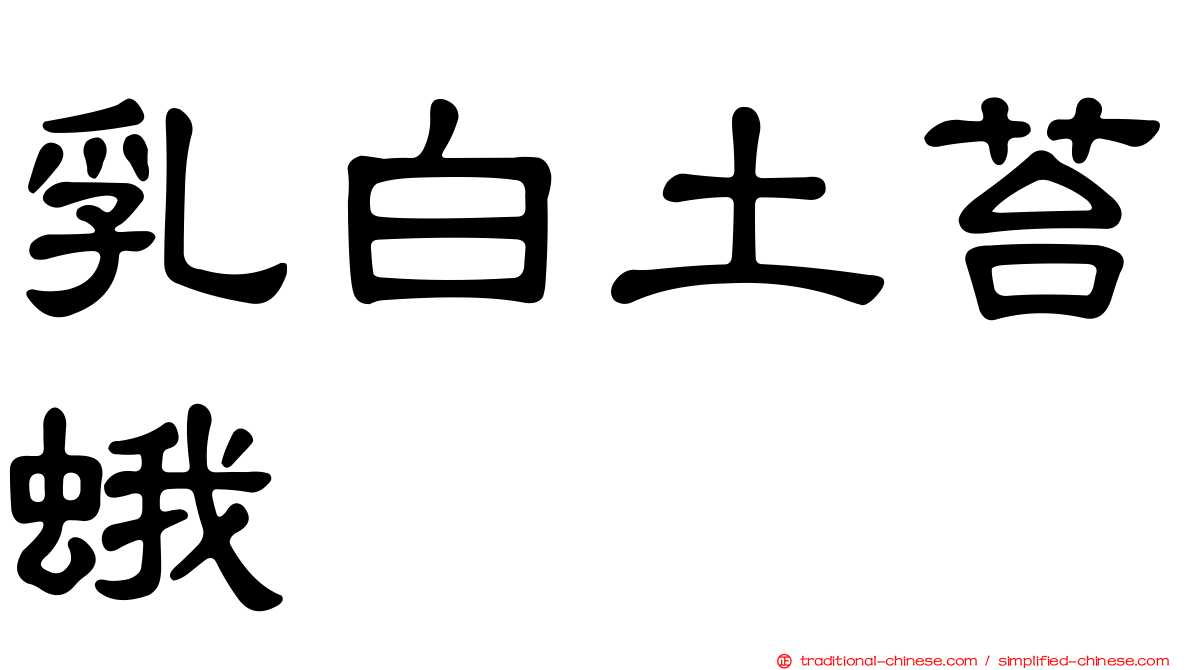 乳白土苔蛾