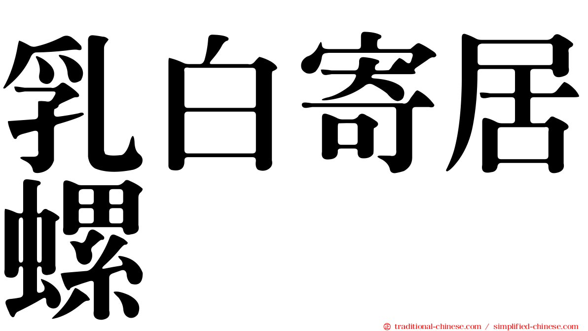 乳白寄居螺