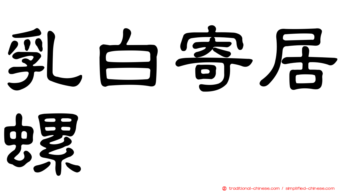乳白寄居螺