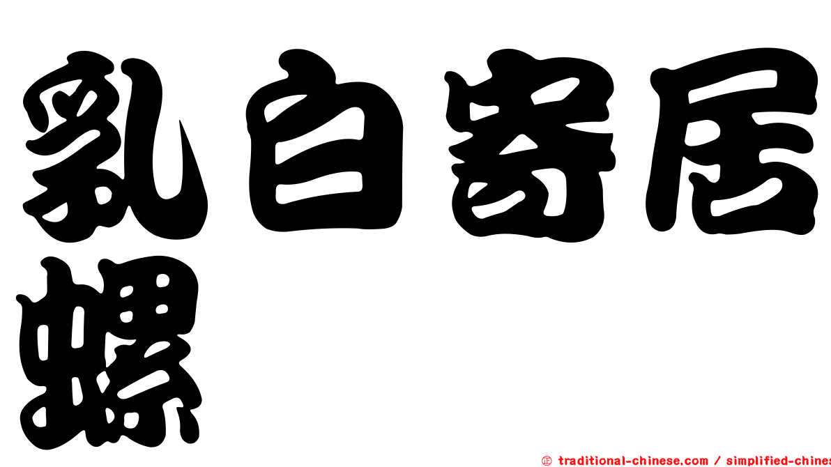 乳白寄居螺