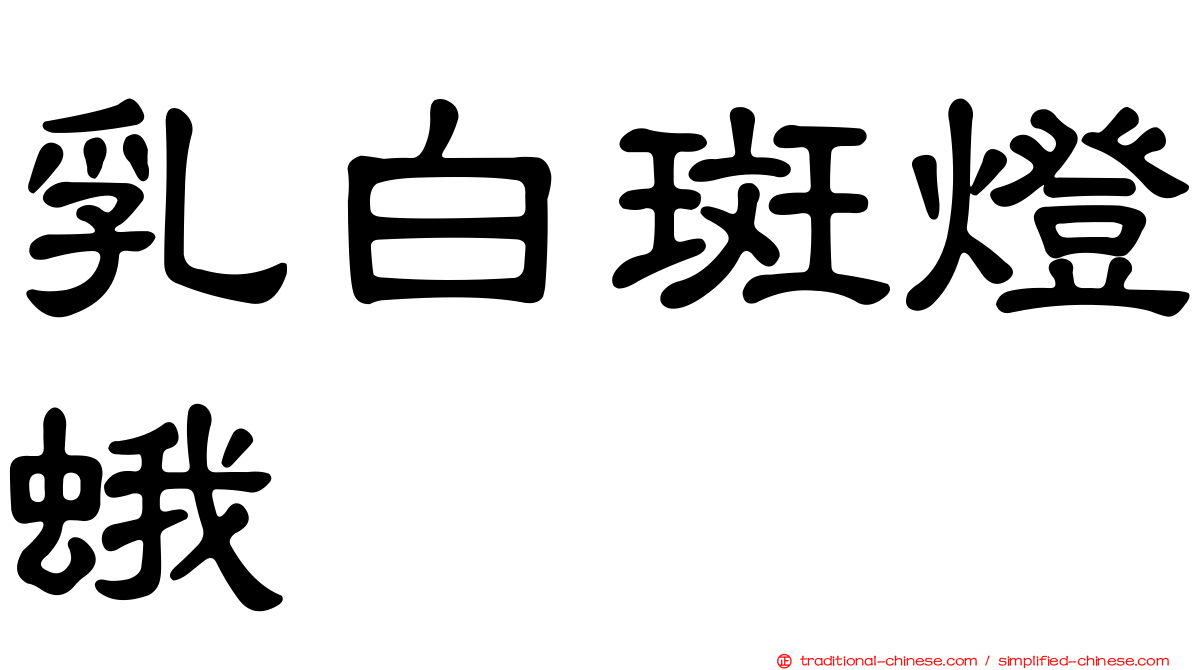 乳白斑燈蛾