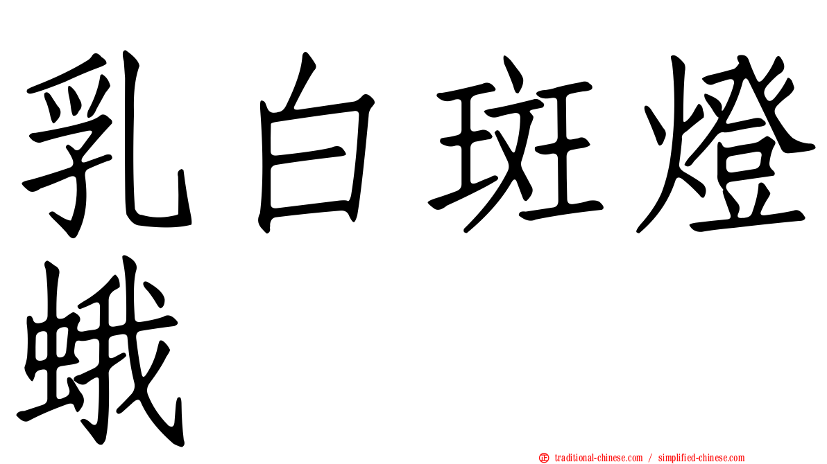 乳白斑燈蛾