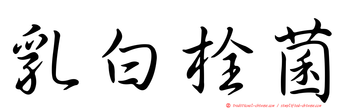 乳白栓菌