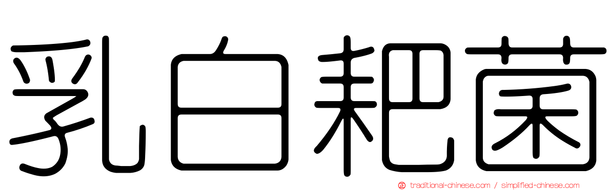 乳白耙菌