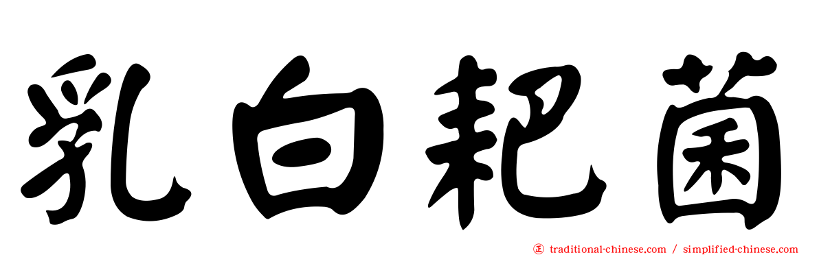 乳白耙菌