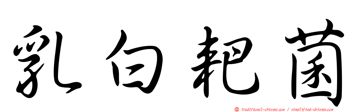乳白耙菌