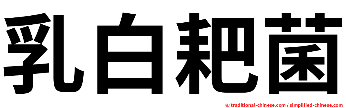 乳白耙菌