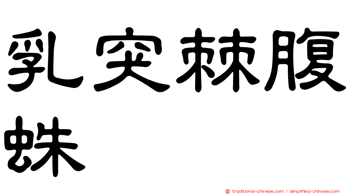 乳突棘腹蛛